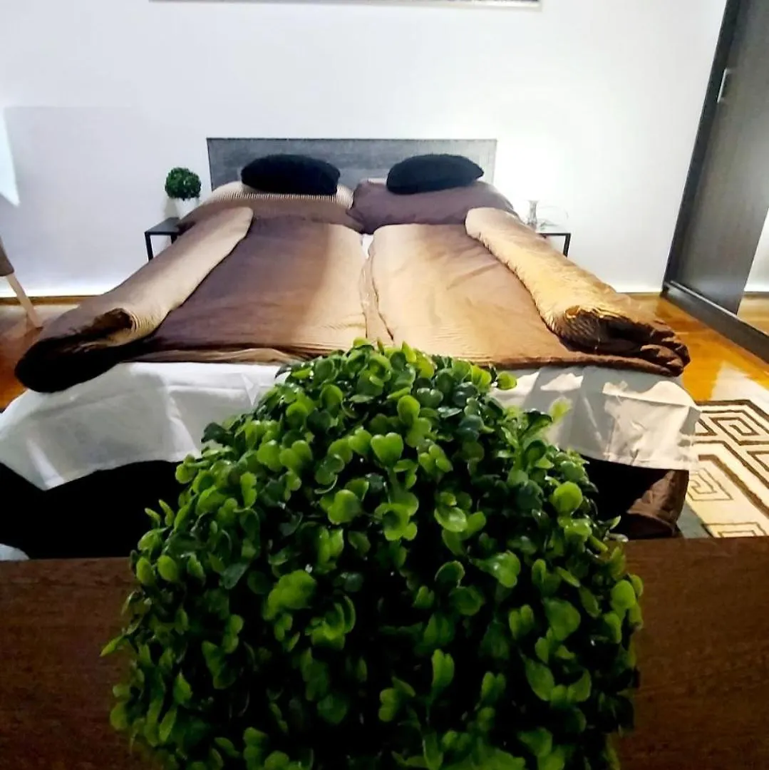 Home City Center Terrace Apartment Βουδαπέστη