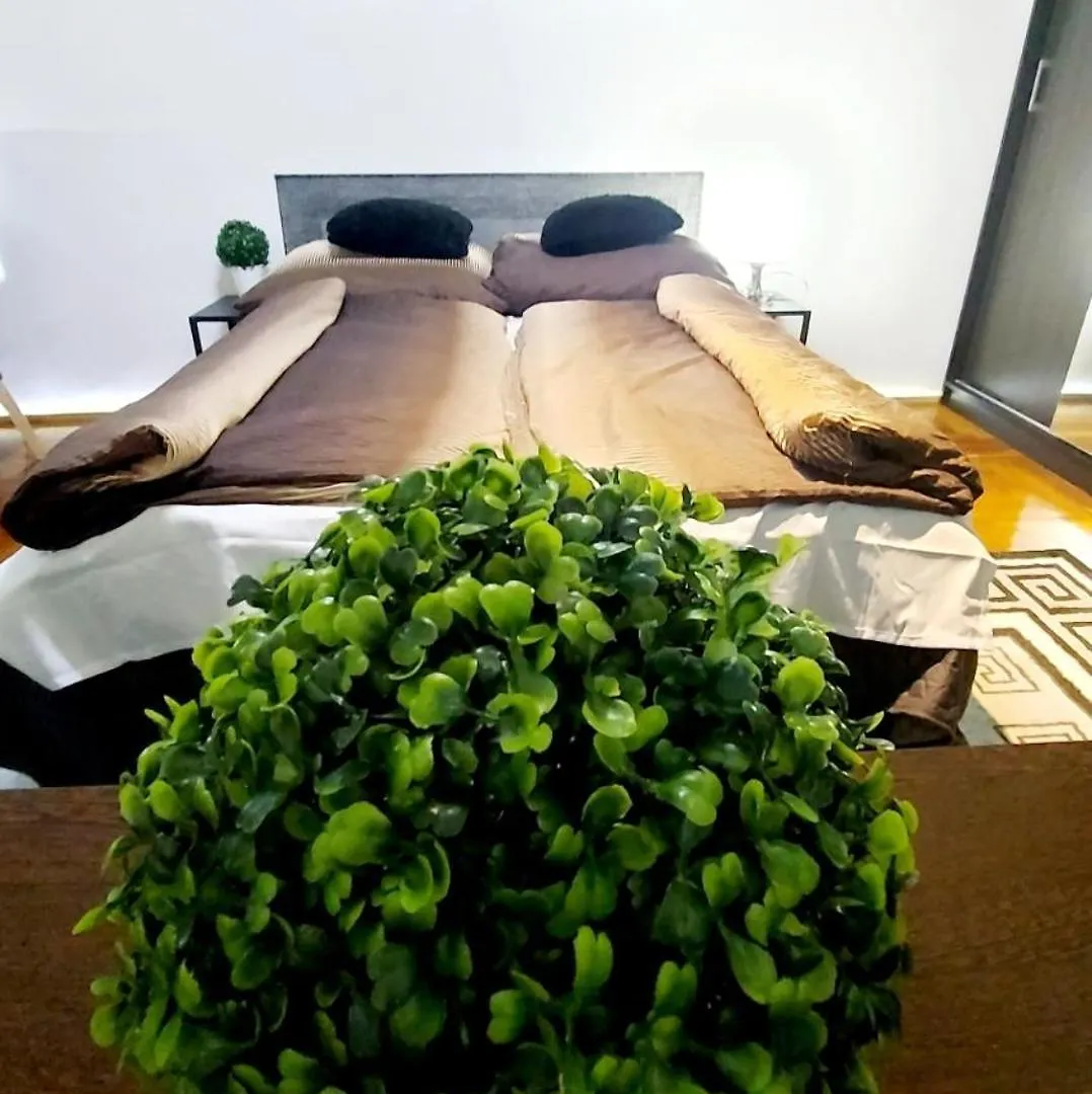 Home City Center Terrace Apartment Βουδαπέστη