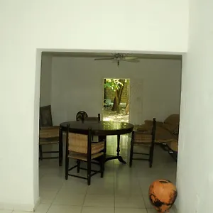 Florita Residential Jacmel